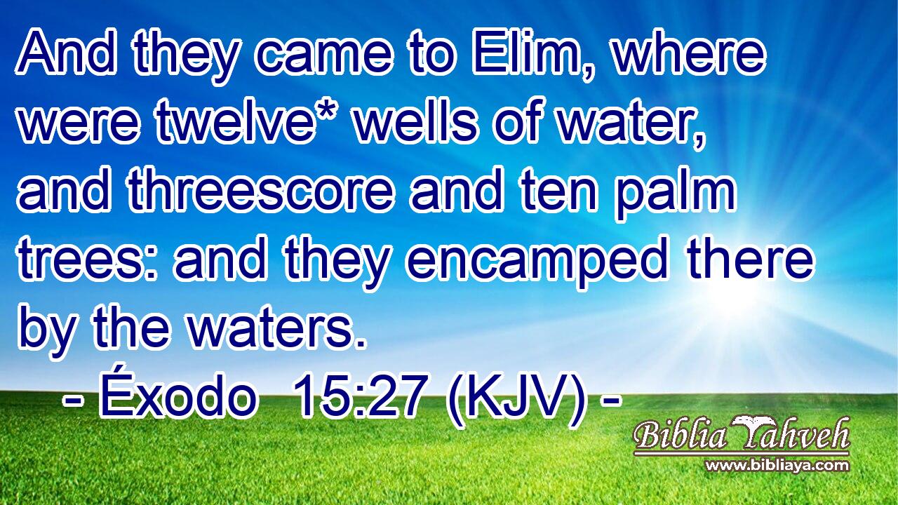 And they came to Elim, where were twelve* wells of water, and threescore and ten palm trees: and they encamped there by the waters.