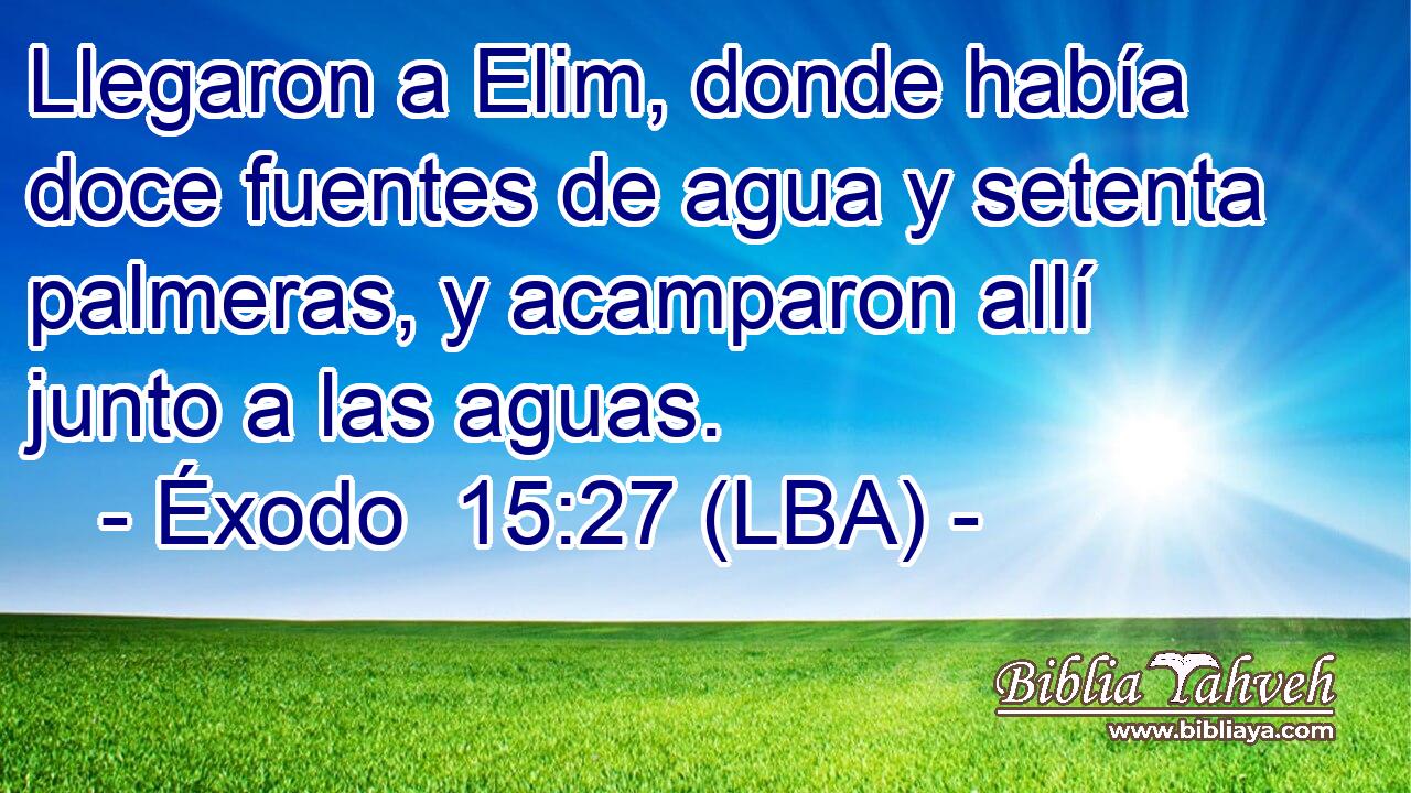 Llegaron a Elim, donde había doce fuentes de agua y setenta palmeras, y acamparon allí junto a las aguas.