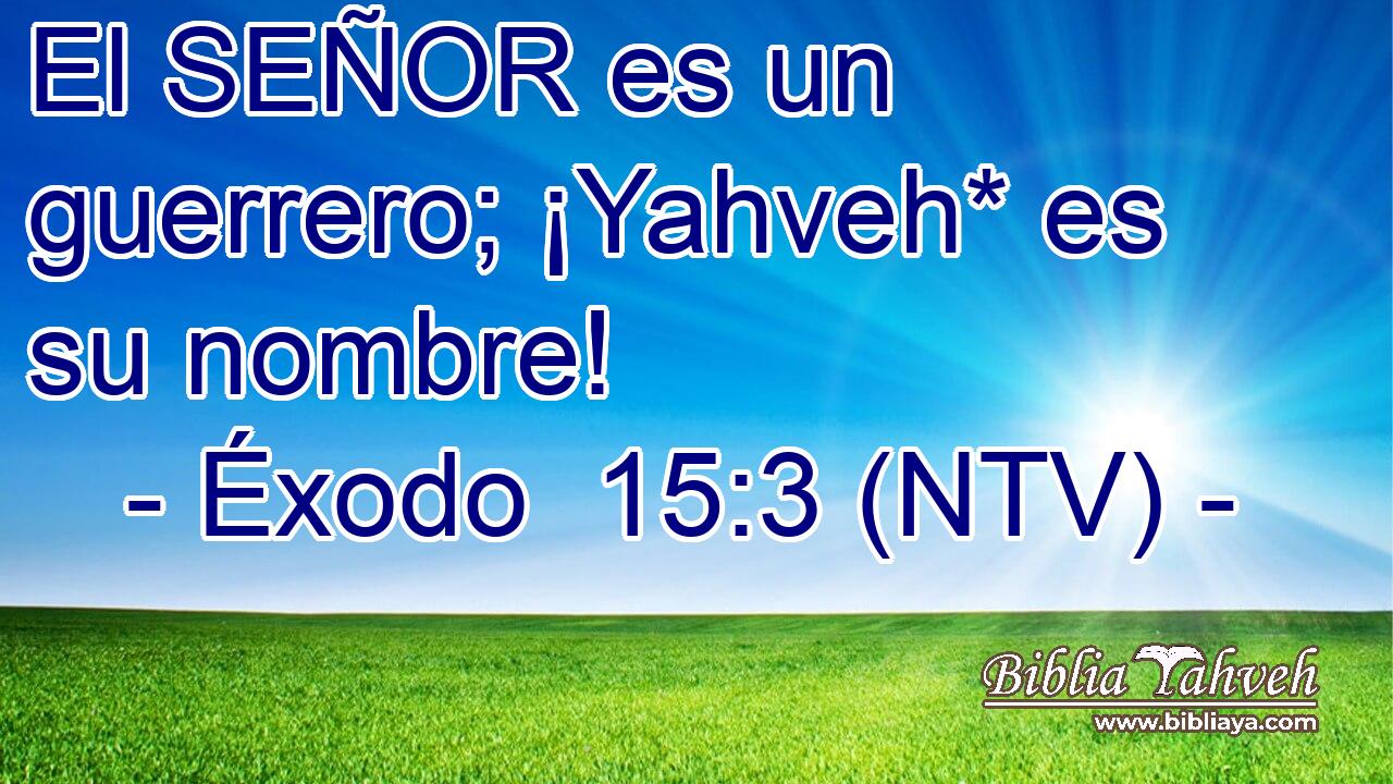 El SEÑOR es un guerrero; ¡Yahveh* es su nombre!
