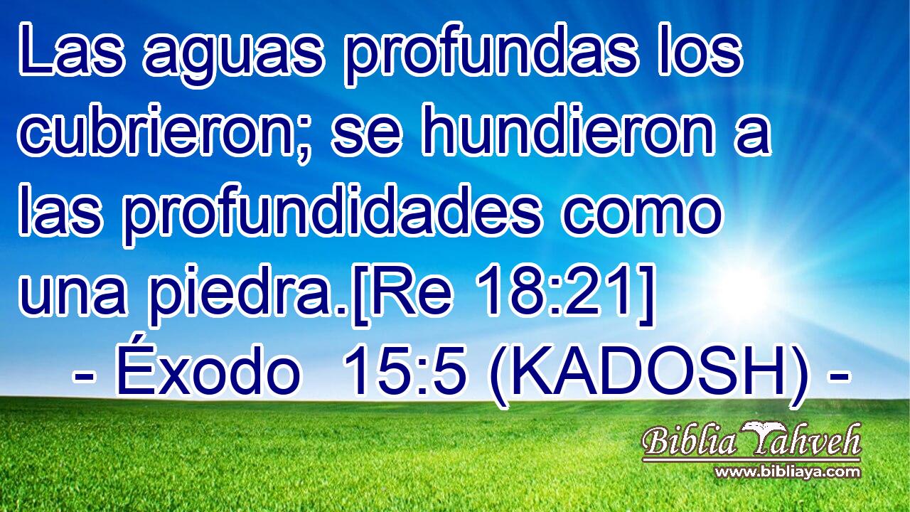  Las aguas profundas los cubrieron; se hundieron a las profundidades como una piedra.[Re 18:21] 