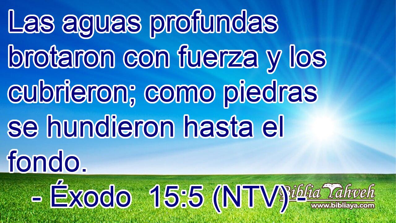 Las aguas profundas brotaron con fuerza y los cubrieron; como piedras se hundieron hasta el fondo.