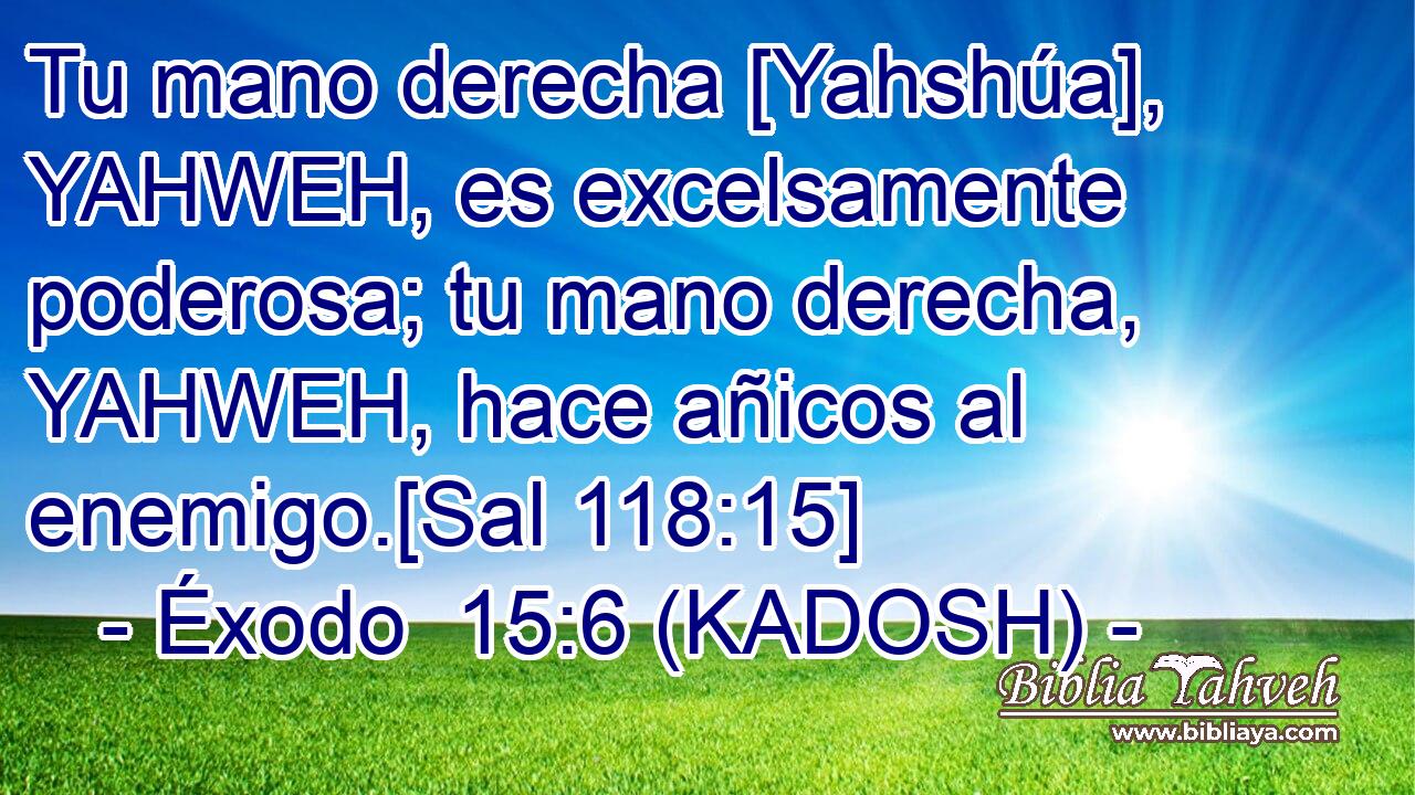  Tu mano derecha [Yahshúa], YAHWEH, es excelsamente poderosa; tu mano derecha, YAHWEH, hace añicos al enemigo.[Sal 118:15] 