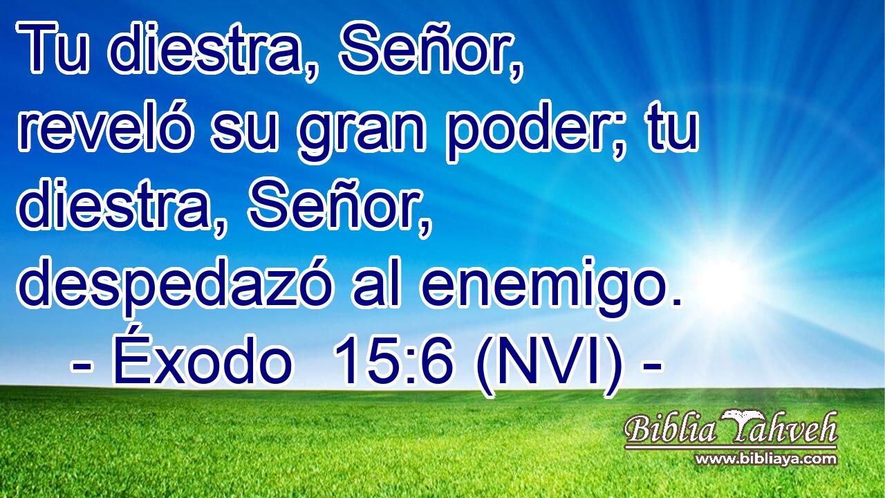  Tu diestra, Señor, reveló su gran poder; tu diestra, Señor, despedazó al enemigo. 