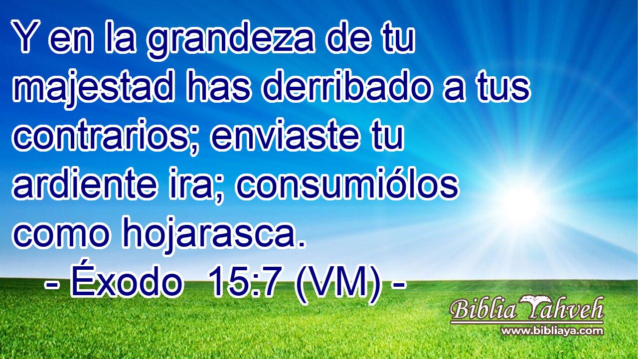  Y en la grandeza de tu majestad has derribado a tus contrarios; enviaste tu ardiente ira; consumiólos como hojarasca. 