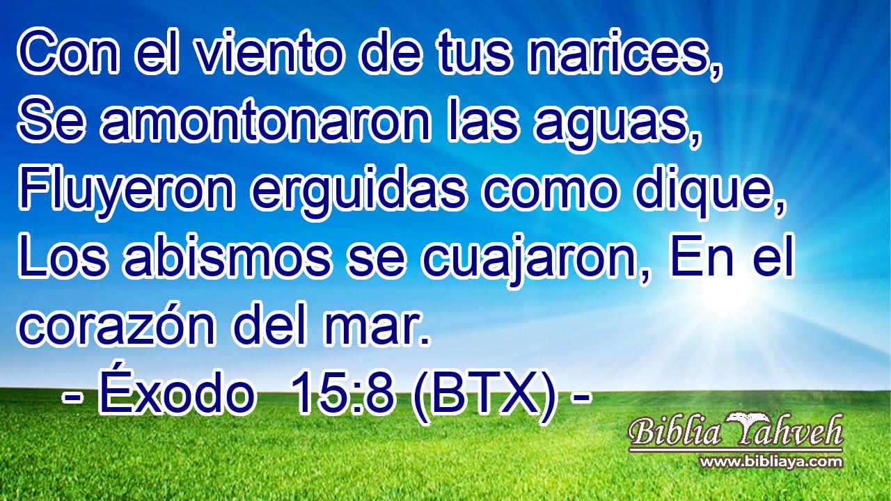 Con el viento de tus narices, Se amontonaron las aguas, Fluyeron erguidas como dique, Los abismos se cuajaron, En el corazón del mar.