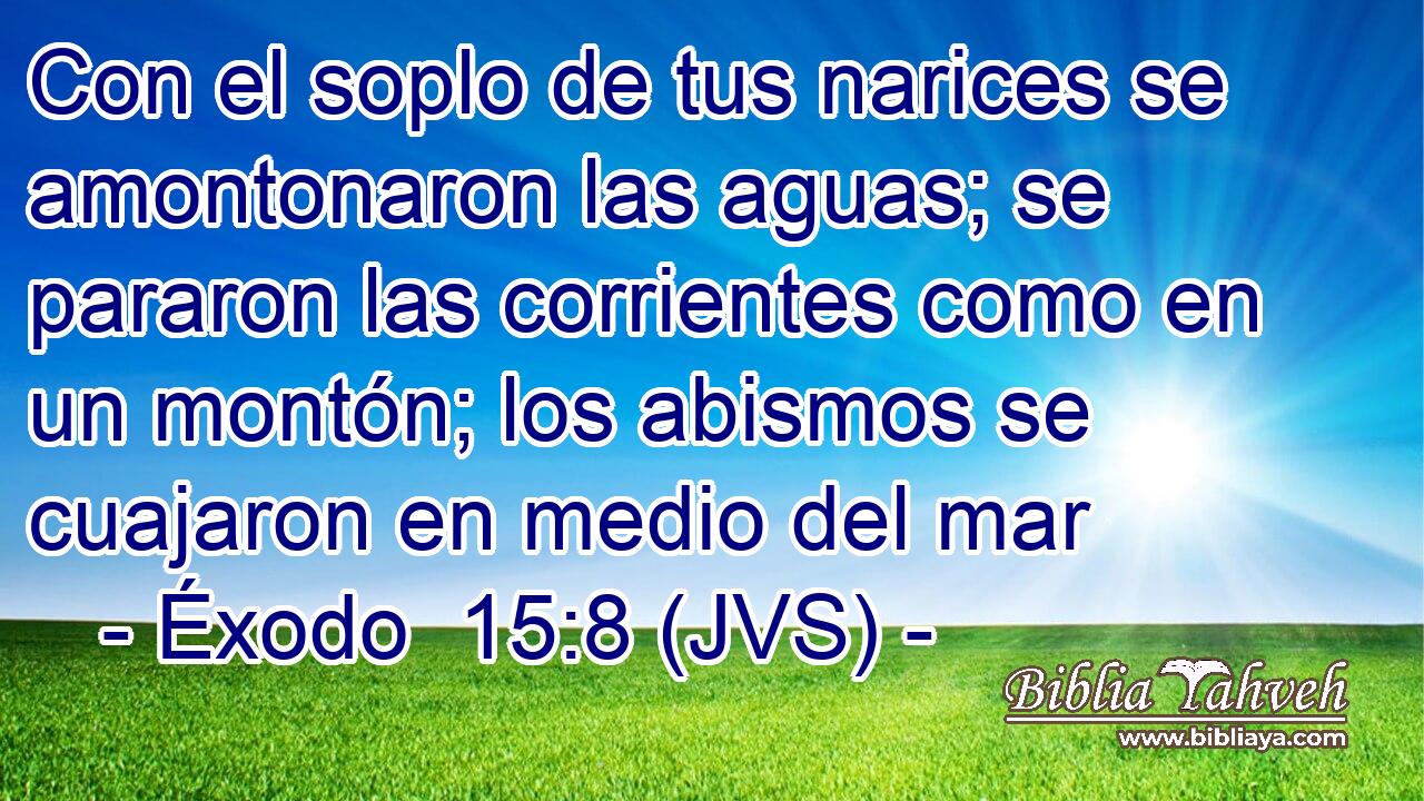 Con el soplo de tus narices se amontonaron las aguas; se pararon las corrientes como en un montón; los abismos se cuajaron en medio del mar