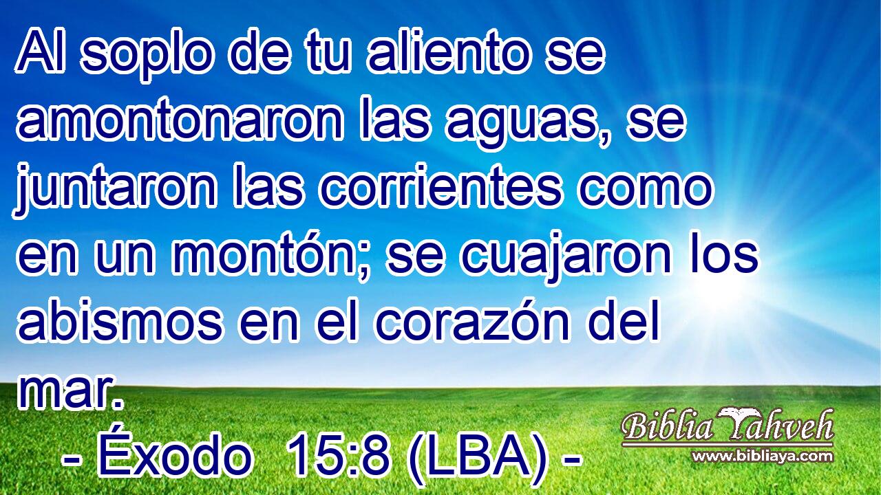 Al soplo de tu aliento se amontonaron las aguas, se juntaron las corrientes como en un montón; se cuajaron los abismos en el corazón del mar.