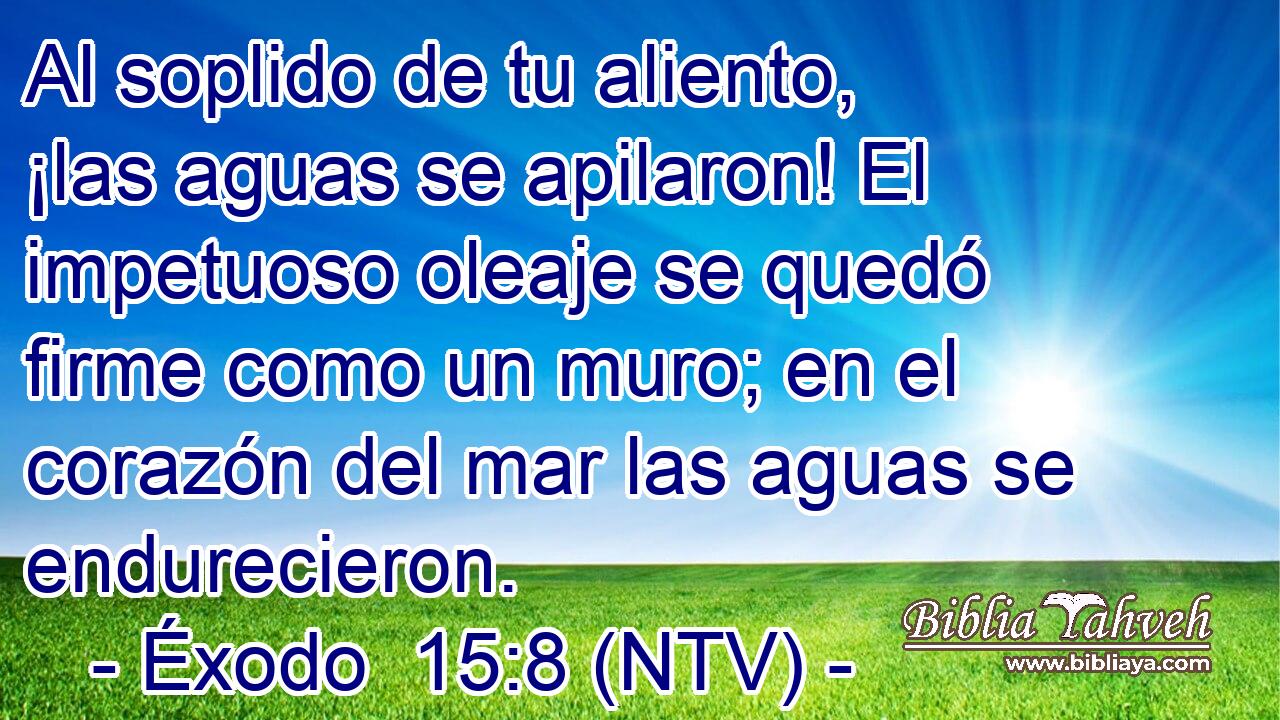 Al soplido de tu aliento, ¡las aguas se apilaron! El impetuoso oleaje se quedó firme como un muro; en el corazón del mar las aguas se endurecieron.