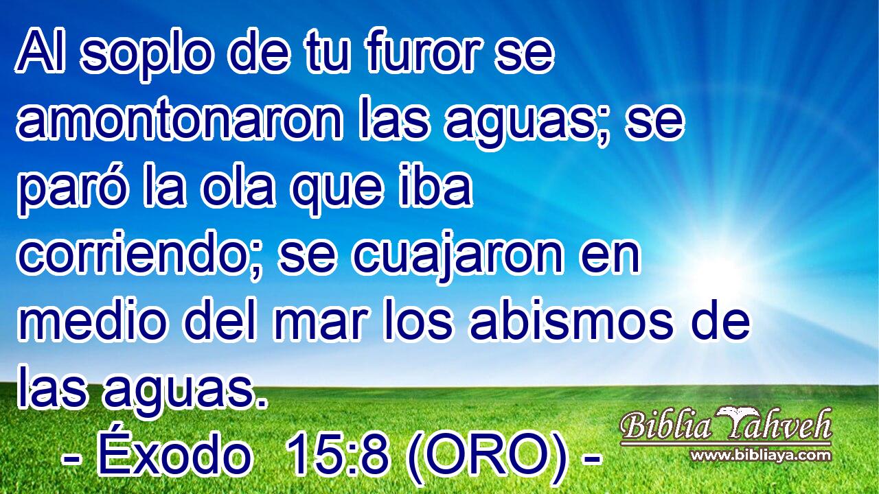  Al soplo de tu furor se amontonaron las aguas; se paró la ola que iba corriendo; se cuajaron en medio del mar los abismos de las aguas. 