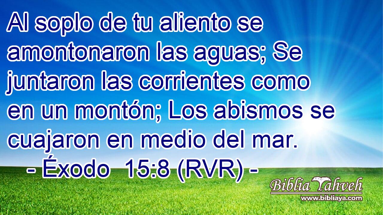 Al soplo de tu aliento se amontonaron las aguas; Se juntaron las corrientes como en un montón; Los abismos se cuajaron en medio del mar.