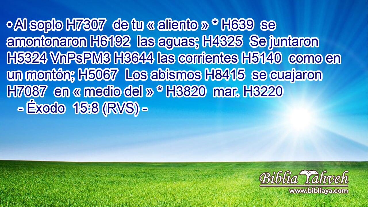 • Al soplo H7307  de tu « aliento » * H639  se amontonaron H6192  las aguas; H4325  Se juntaron H5324 VnPsPM3 H3644 las corrientes H5140  como en un montón; H5067  Los abismos H8415  se cuajaron H7087  en « medio del » * H3820  mar. H3220  