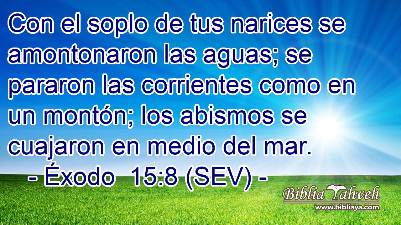 Con el soplo de tus narices se amontonaron las aguas; se pararon las corrientes como en un montón; los abismos se cuajaron en medio del mar.