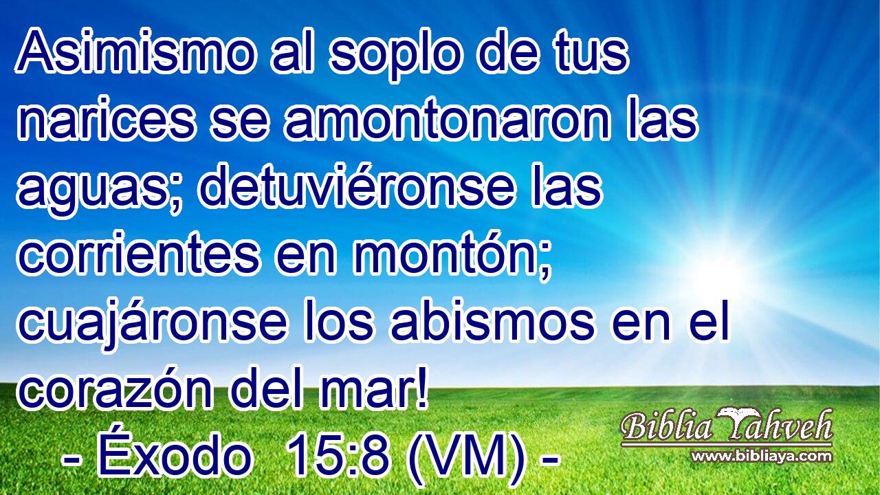  Asimismo al soplo de tus narices se amontonaron las aguas; detuviéronse las corrientes en montón; cuajáronse los abismos en el corazón del mar! 