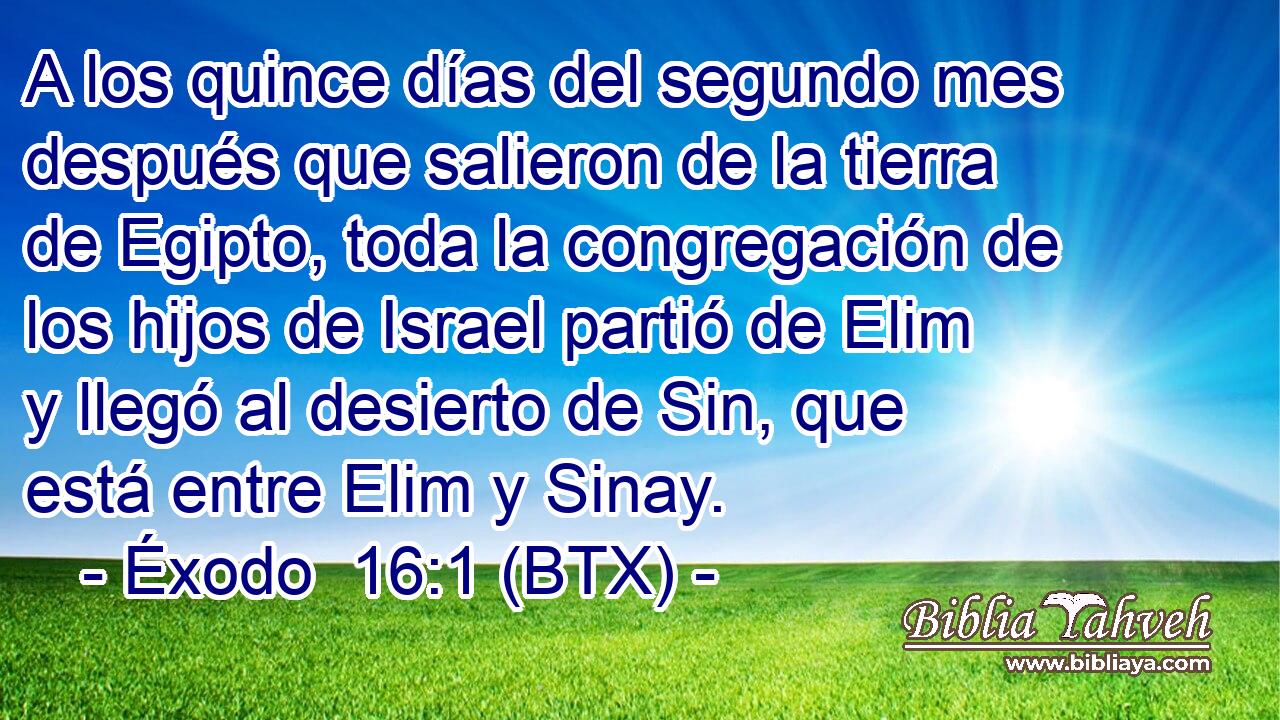 A los quince días del segundo mes después que salieron de la tierra de Egipto, toda la congregación de los hijos de Israel partió de Elim y llegó al desierto de Sin, que está entre Elim y Sinay.