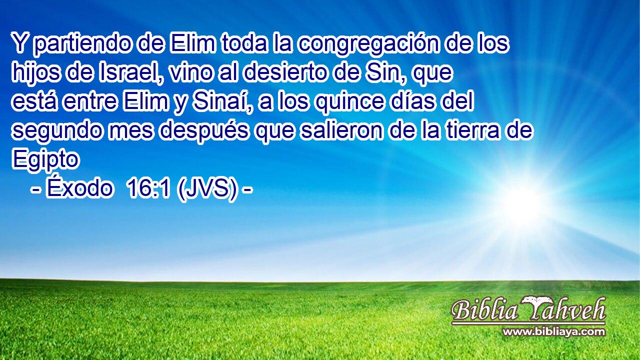 Y partiendo de Elim toda la congregación de los hijos de Israel, vino al desierto de Sin, que está entre Elim y Sinaí, a los quince días del segundo mes después que salieron de la tierra de Egipto