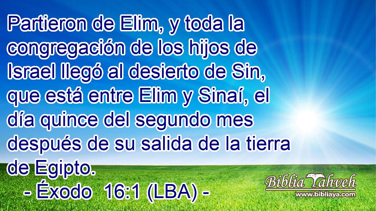 Partieron de Elim, y toda la congregación de los hijos de Israel llegó al desierto de Sin, que está entre Elim y Sinaí, el día quince del segundo mes después de su salida de la tierra de Egipto.