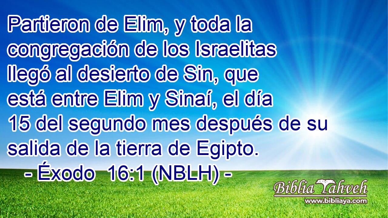  Partieron de Elim, y toda la congregación de los Israelitas llegó al desierto de Sin, que está entre Elim y Sinaí, el día 15 del segundo mes después de su salida de la tierra de Egipto. 