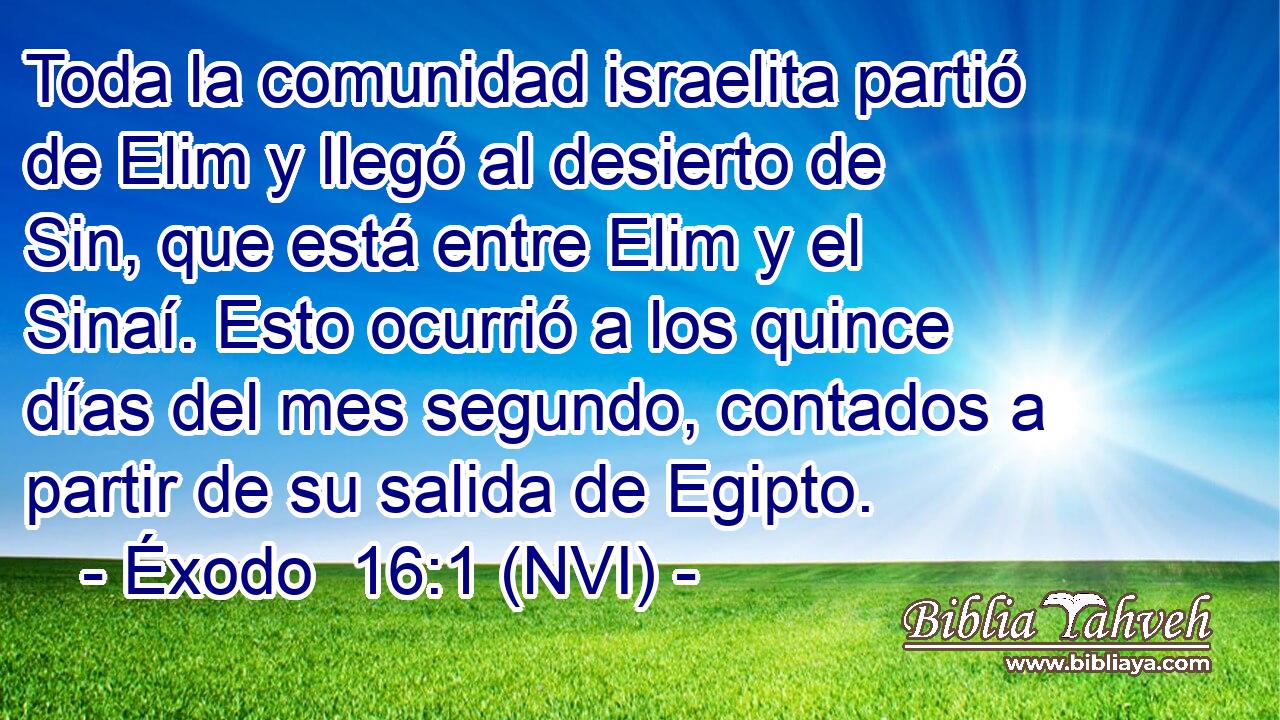  Toda la comunidad israelita partió de Elim y llegó al desierto de Sin, que está entre Elim y el Sinaí. Esto ocurrió a los quince días del mes segundo, contados a partir de su salida de Egipto. 
