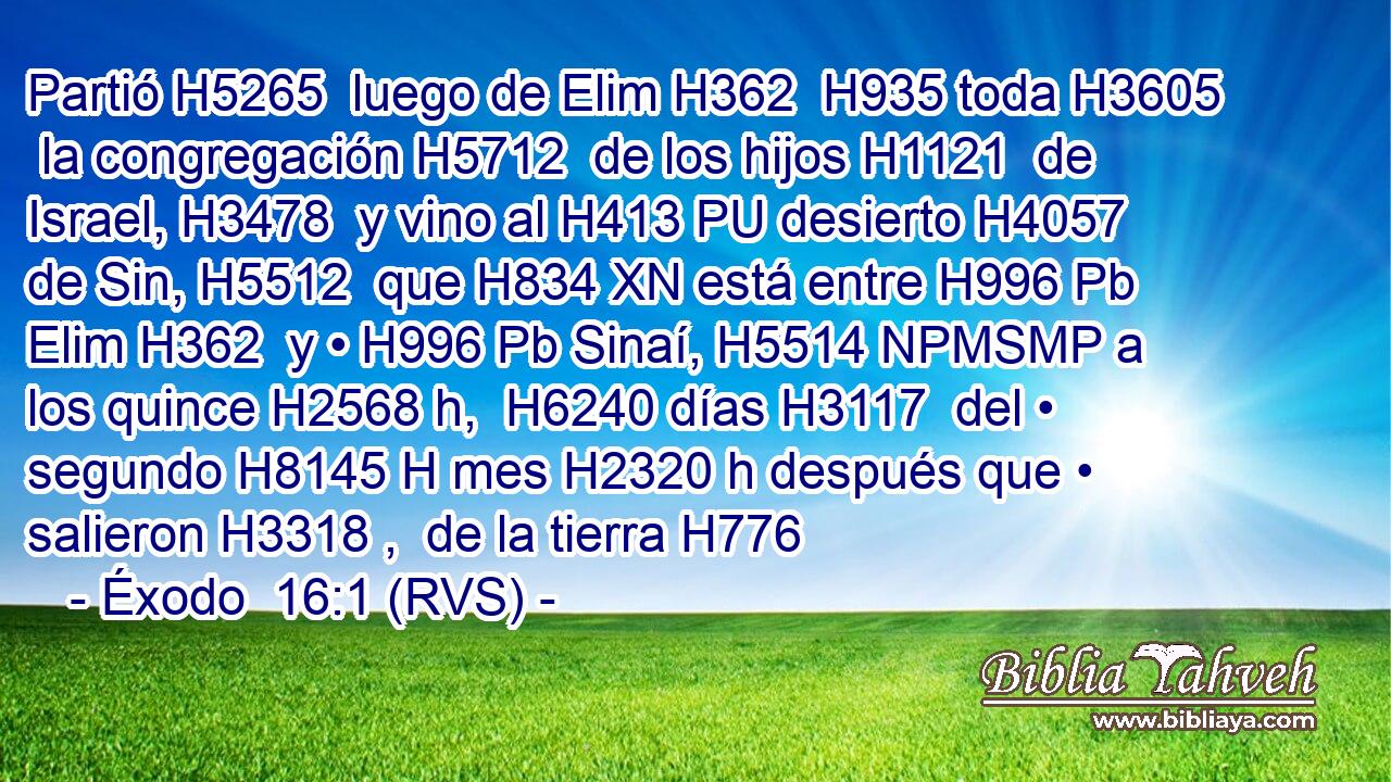 Partió H5265  luego de Elim H362  H935 toda H3605  la congregación H5712  de los hijos H1121  de Israel, H3478  y vino al H413 PU desierto H4057  de Sin, H5512  que H834 XN está entre H996 Pb Elim H362  y • H996 Pb Sinaí, H5514 NPMSMP a los quince H2568 h,  H6240 días H3117  del • segundo H8145 H mes H2320 h después que • salieron H3318 ,  de la tierra H776  