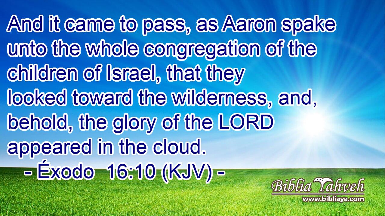 And it came to pass, as Aaron spake unto the whole congregation of the children of Israel, that they looked toward the wilderness, and, behold, the glory of the LORD appeared in the cloud.