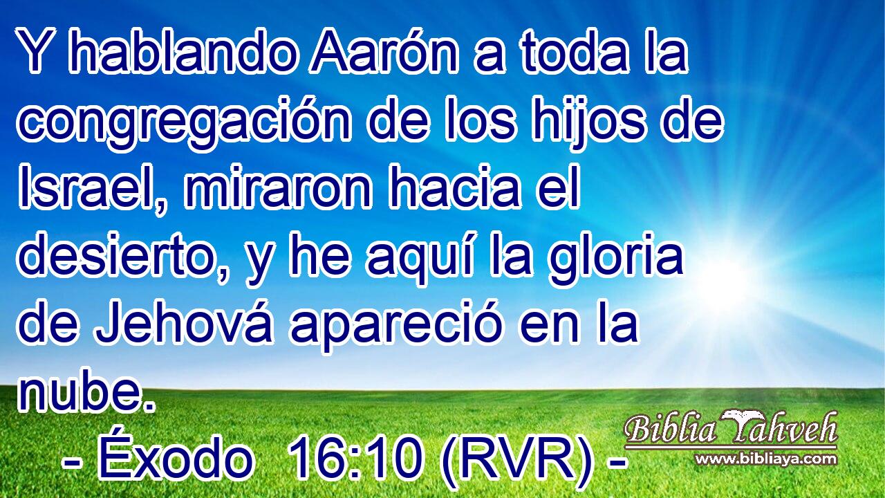 Y hablando Aarón a toda la congregación de los hijos de Israel, miraron hacia el desierto, y he aquí la gloria de Jehová apareció en la nube.