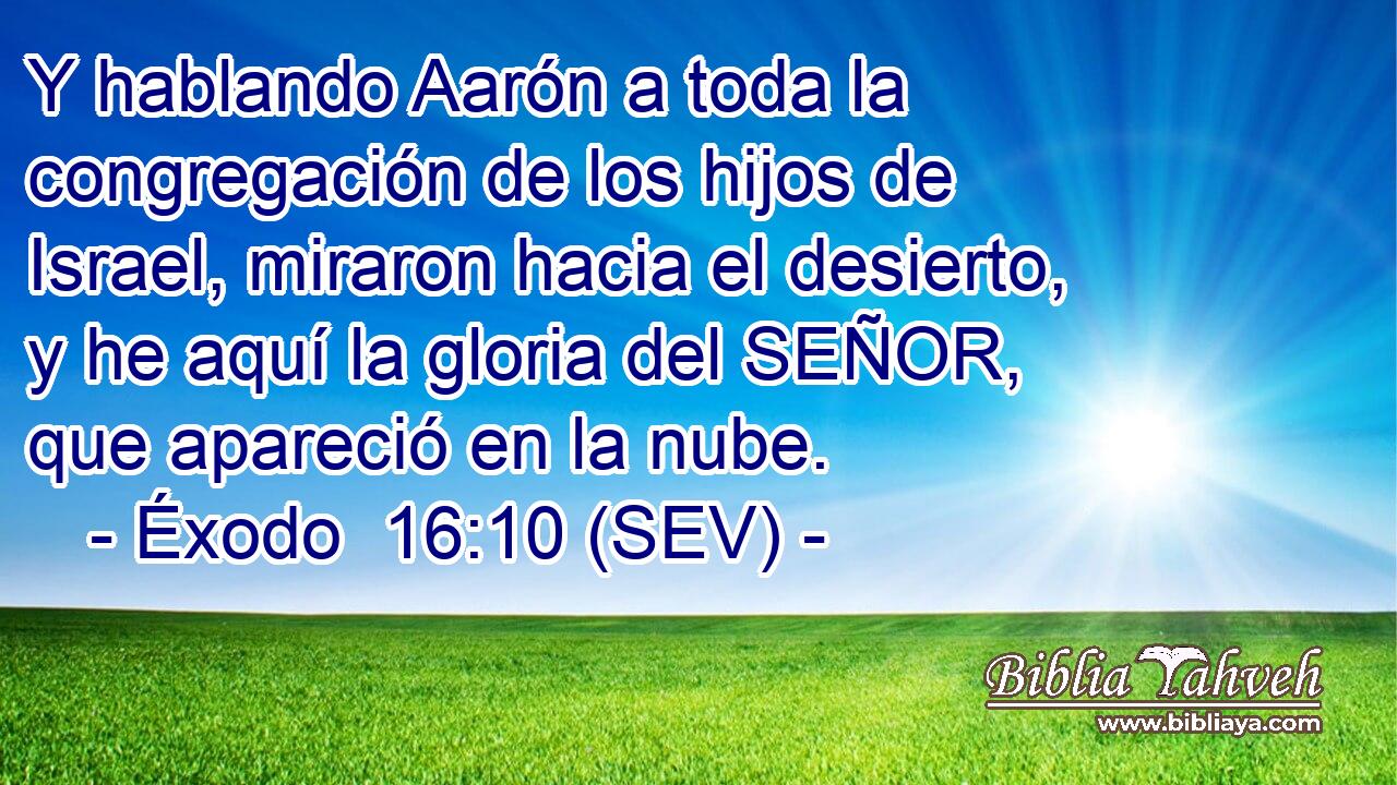 Y hablando Aarón a toda la congregación de los hijos de Israel, miraron hacia el desierto, y he aquí la gloria del SEÑOR, que apareció en la nube.