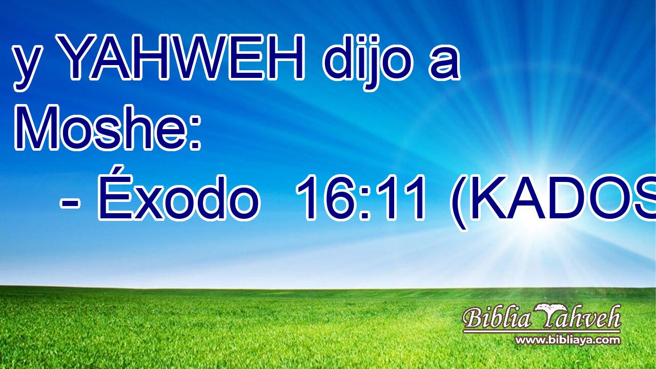  y YAHWEH dijo a Moshe: 