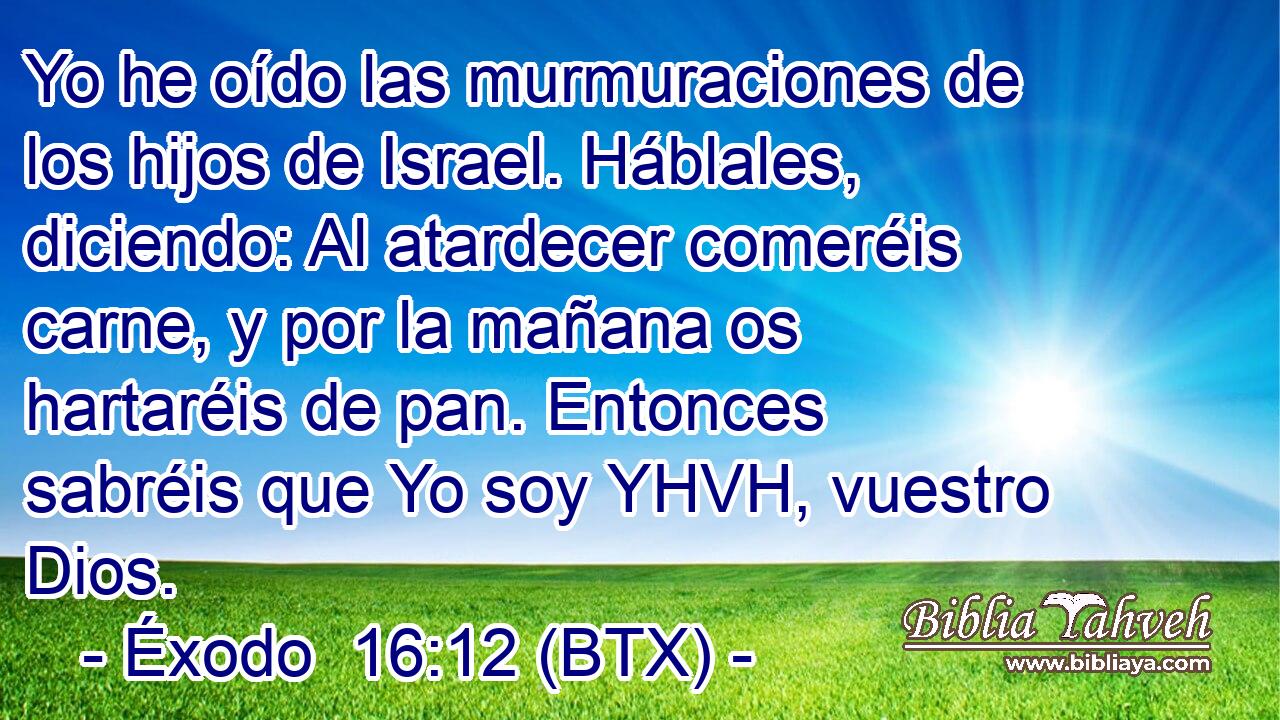 Yo he oído las murmuraciones de los hijos de Israel. Háblales, diciendo: Al atardecer comeréis carne, y por la mañana os hartaréis de pan. Entonces sabréis que Yo soy YHVH, vuestro Dios.