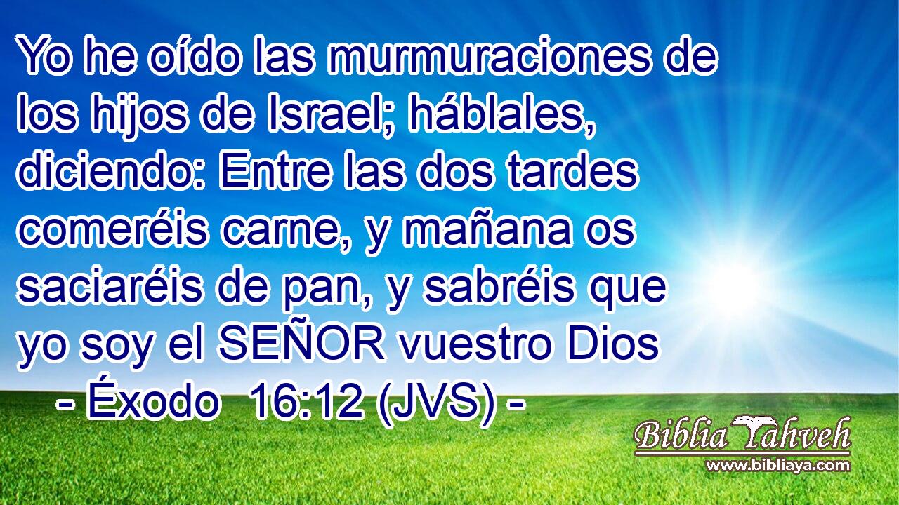 Yo he oído las murmuraciones de los hijos de Israel; háblales, diciendo: Entre las dos tardes comeréis carne, y mañana os saciaréis de pan, y sabréis que yo soy el SEÑOR vuestro Dios