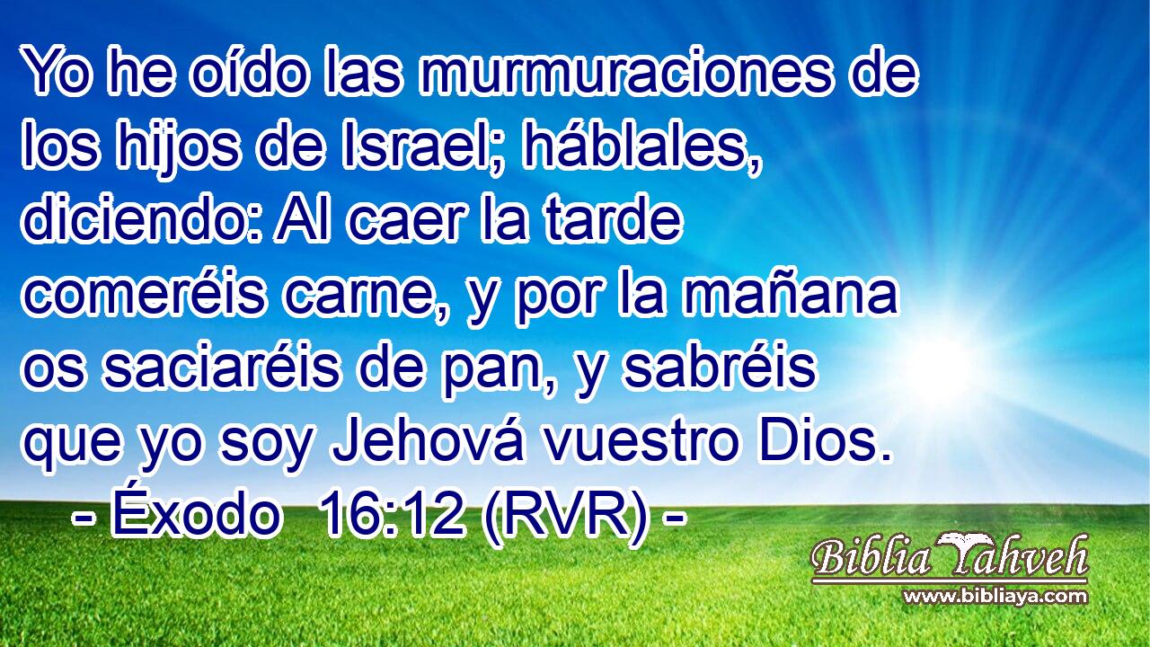 Yo he oído las murmuraciones de los hijos de Israel; háblales, diciendo: Al caer la tarde comeréis carne, y por la mañana os saciaréis de pan, y sabréis que yo soy Jehová vuestro Dios.
