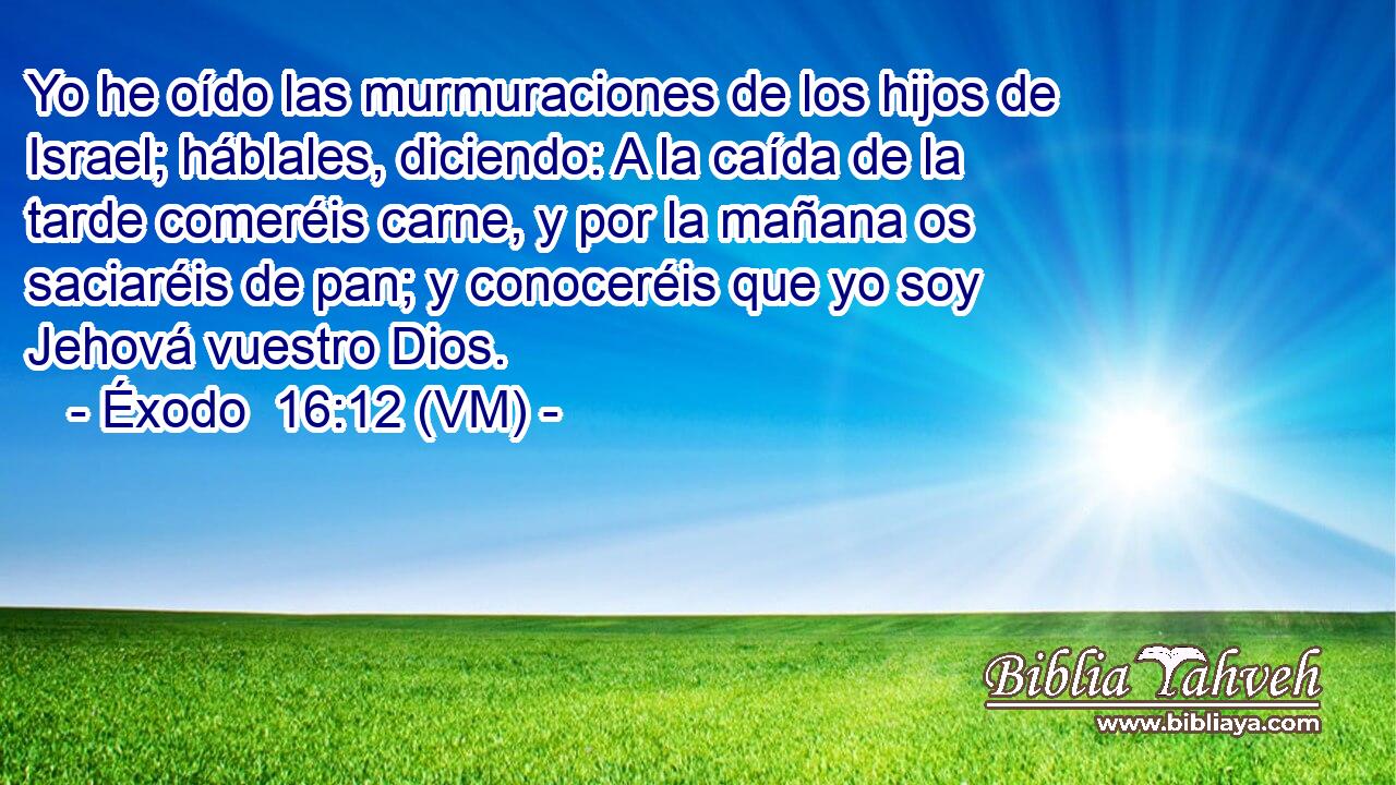  Yo he oído las murmuraciones de los hijos de Israel; háblales, diciendo: A la caída de la tarde comeréis carne, y por la mañana os saciaréis de pan; y conoceréis que yo soy Jehová vuestro Dios. 