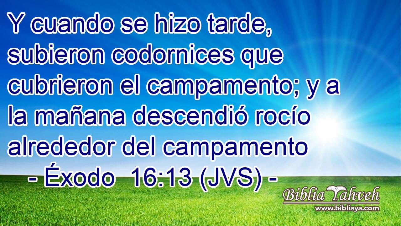 Y cuando se hizo tarde, subieron codornices que cubrieron el campamento; y a la mañana descendió rocío alrededor del campamento