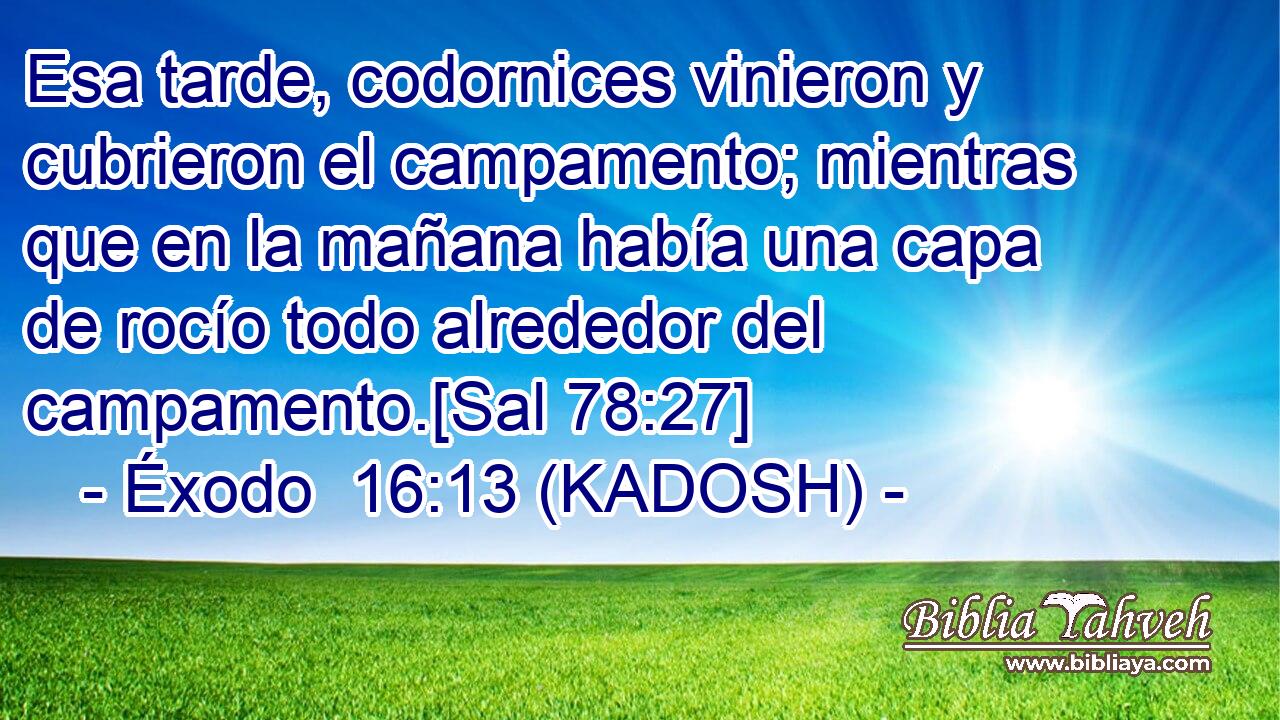  Esa tarde, codornices vinieron y cubrieron el campamento; mientras que en la mañana había una capa de rocío todo alrededor del campamento.[Sal 78:27] 