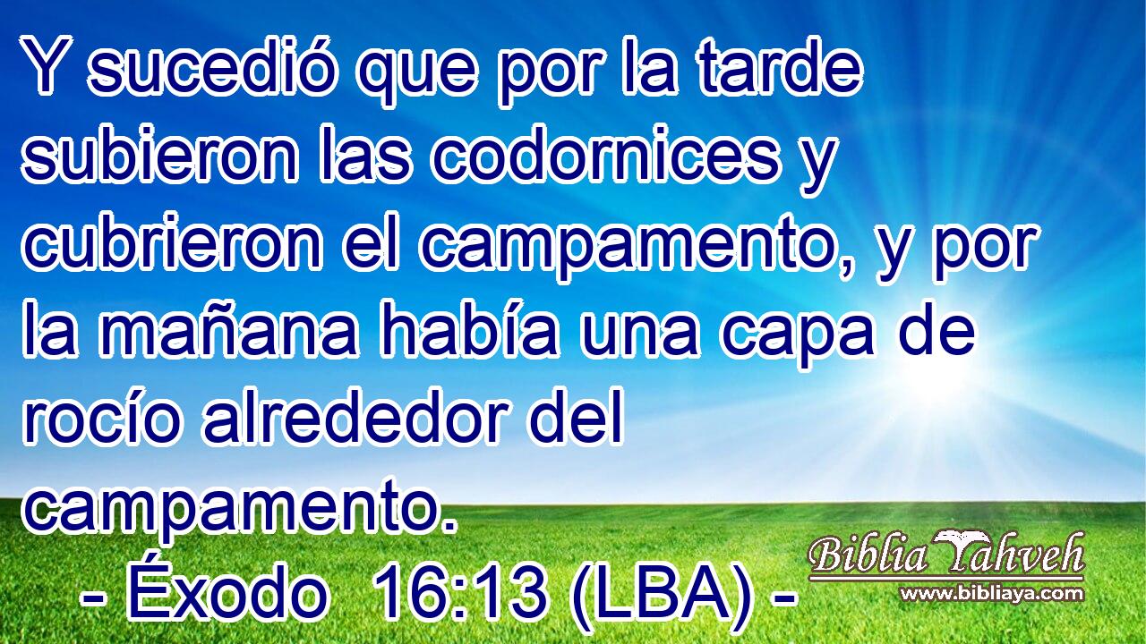 Y sucedió que por la tarde subieron las codornices y cubrieron el campamento, y por la mañana había una capa de rocío alrededor del campamento.