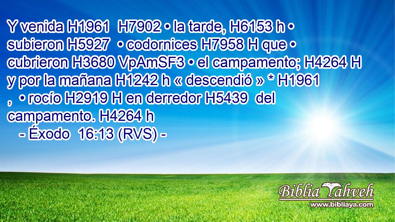 Y venida H1961  H7902 • la tarde, H6153 h • subieron H5927  • codornices H7958 H que • cubrieron H3680 VpAmSF3 • el campamento; H4264 H y por la mañana H1242 h « descendió » * H1961 ,  • rocío H2919 H en derredor H5439  del campamento. H4264 h 