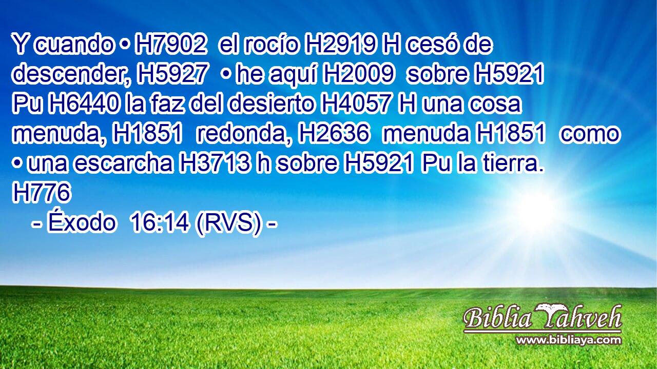 Y cuando • H7902  el rocío H2919 H cesó de descender, H5927  • he aquí H2009  sobre H5921 Pu H6440 la faz del desierto H4057 H una cosa menuda, H1851  redonda, H2636  menuda H1851  como • una escarcha H3713 h sobre H5921 Pu la tierra. H776  