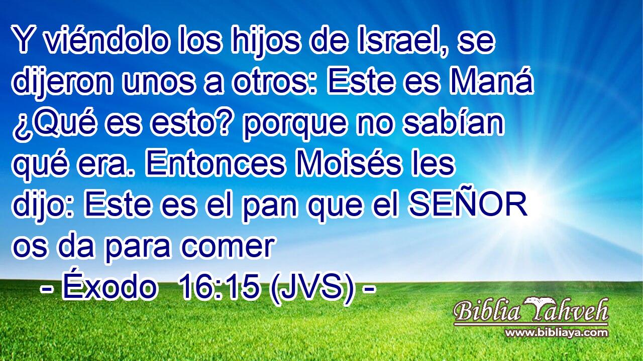 Y viéndolo los hijos de Israel, se dijeron unos a otros: Este es Maná ¿Qué es esto? porque no sabían qué era. Entonces Moisés les dijo: Este es el pan que el SEÑOR os da para comer