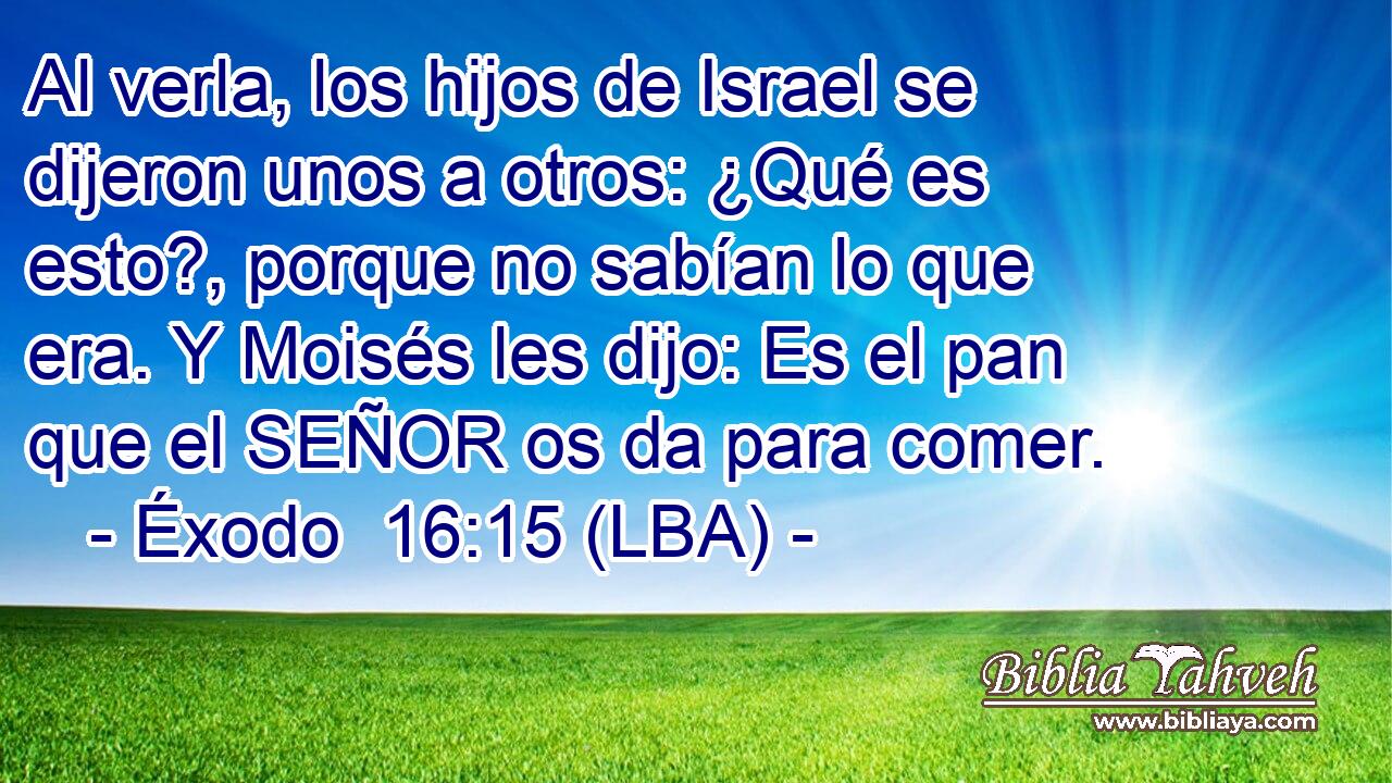 Al verla, los hijos de Israel se dijeron unos a otros: ¿Qué es esto?, porque no sabían lo que era. Y Moisés les dijo: Es el pan que el SEÑOR os da para comer.