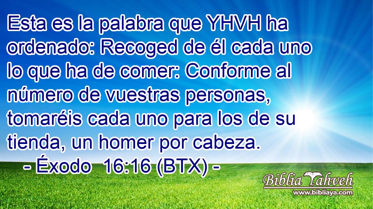 Esta es la palabra que YHVH ha ordenado: Recoged de él cada uno lo que ha de comer: Conforme al número de vuestras personas, tomaréis cada uno para los de su tienda, un homer por cabeza.