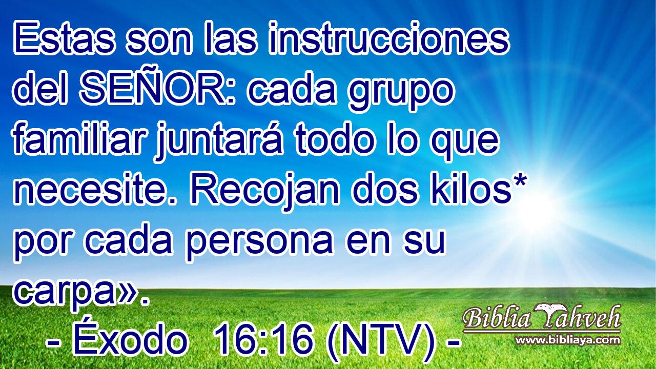 Estas son las instrucciones del SEÑOR: cada grupo familiar juntará todo lo que necesite. Recojan dos kilos* por cada persona en su carpa».