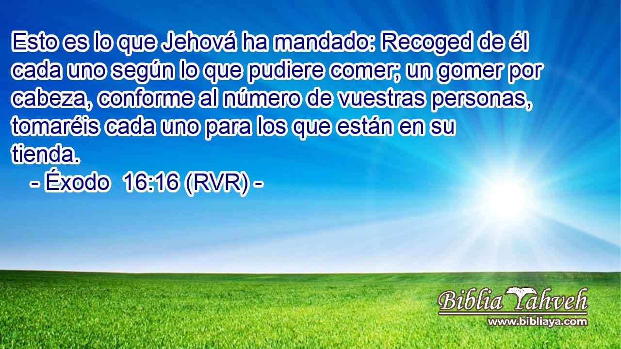 Esto es lo que Jehová ha mandado: Recoged de él cada uno según lo que pudiere comer; un gomer por cabeza, conforme al número de vuestras personas, tomaréis cada uno para los que están en su tienda.