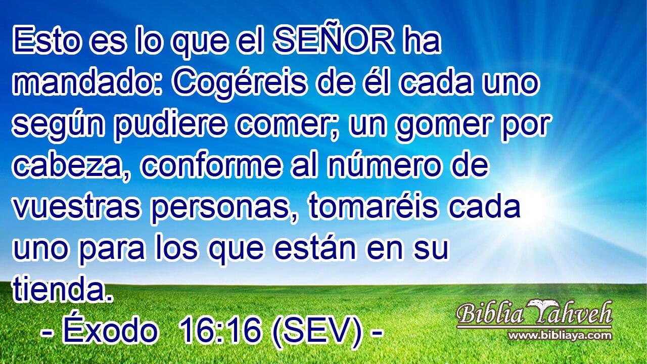 Esto es lo que el SEÑOR ha mandado: Cogéreis de él cada uno según pudiere comer; un gomer por cabeza, conforme al número de vuestras personas, tomaréis cada uno para los que están en su tienda.