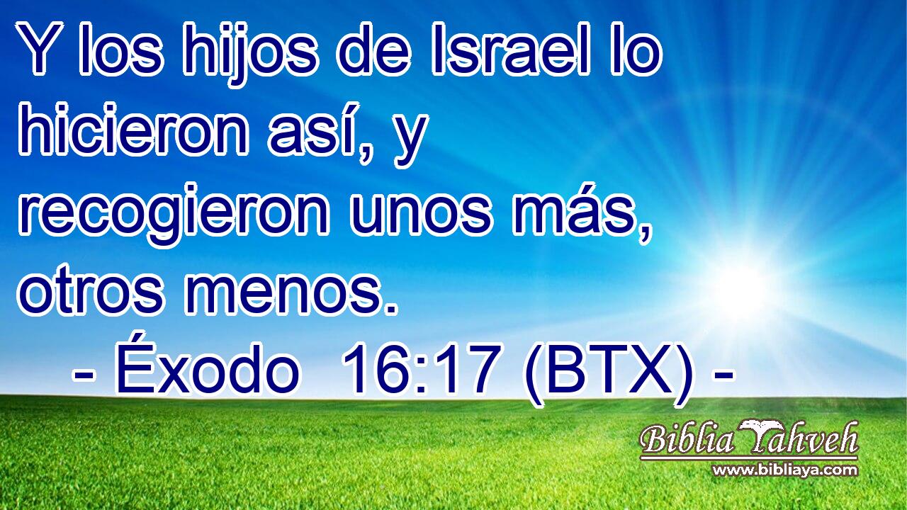 Y los hijos de Israel lo hicieron así, y recogieron unos más, otros menos.