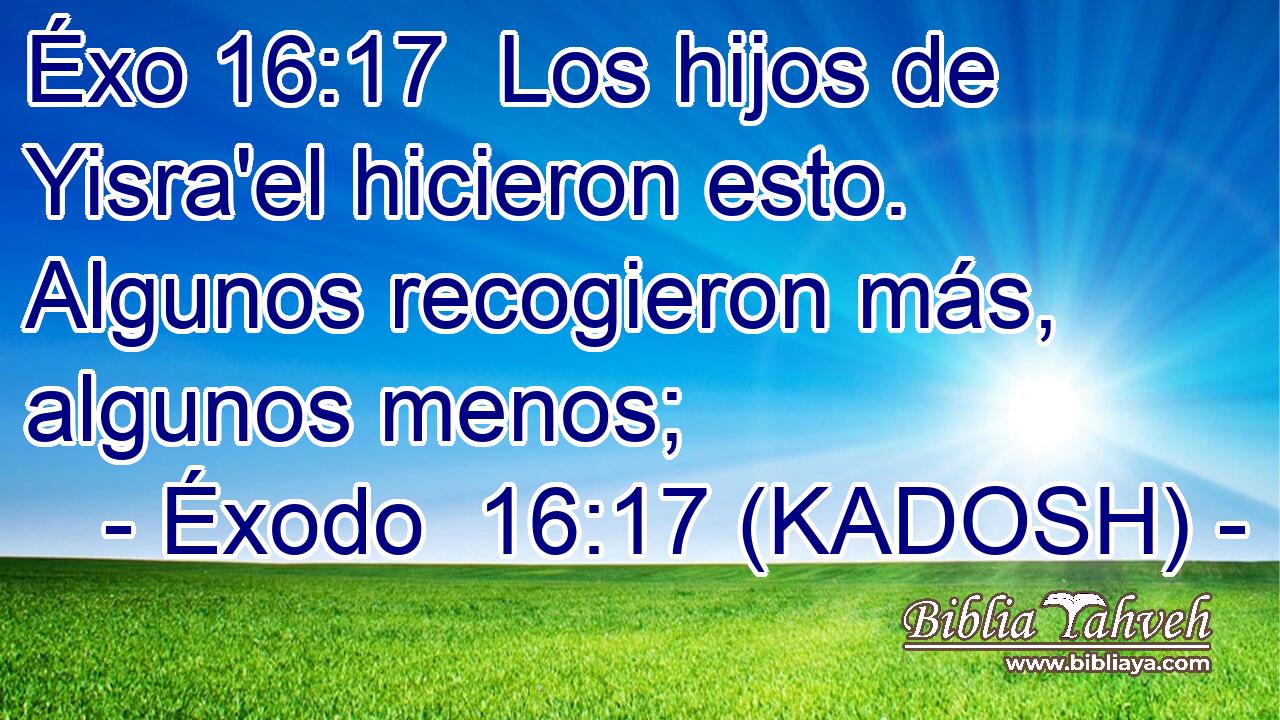  Los hijos de Yisra'el hicieron esto. Algunos recogieron más, algunos menos; 