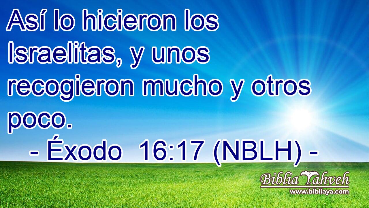  Así lo hicieron los Israelitas, y unos recogieron mucho y otros poco. 