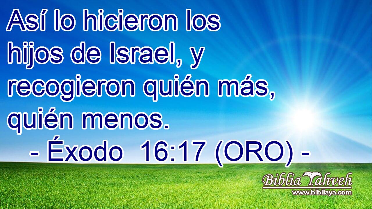  Así lo hicieron los hijos de Israel, y recogieron quién más, quién menos. 