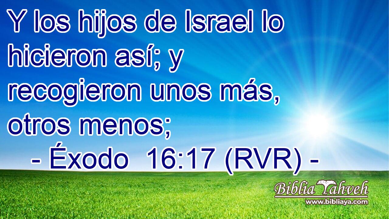 Y los hijos de Israel lo hicieron así; y recogieron unos más, otros menos;