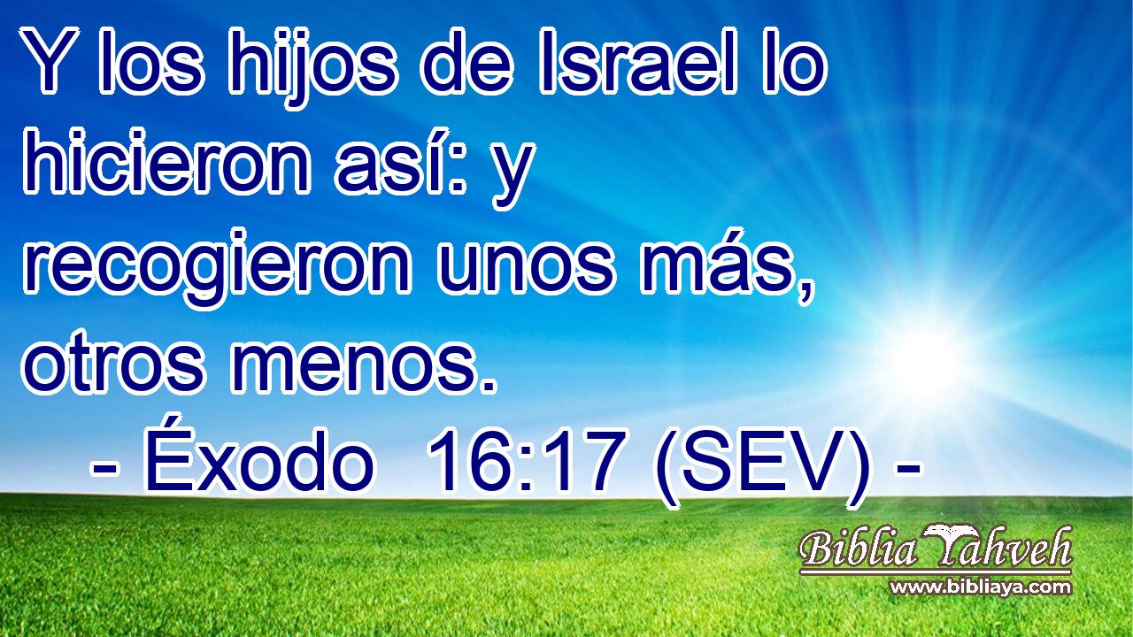 Y los hijos de Israel lo hicieron así: y recogieron unos más, otros menos.
