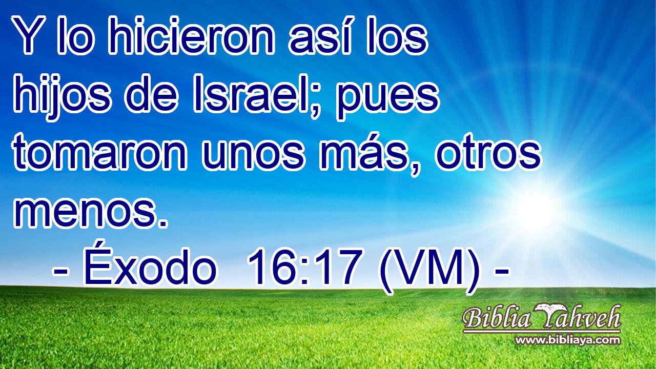  Y lo hicieron así los hijos de Israel; pues tomaron unos más, otros menos. 