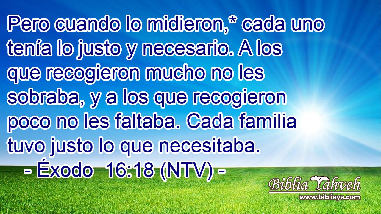 Pero cuando lo midieron,* cada uno tenía lo justo y necesario. A los que recogieron mucho no les sobraba, y a los que recogieron poco no les faltaba. Cada familia tuvo justo lo que necesitaba.